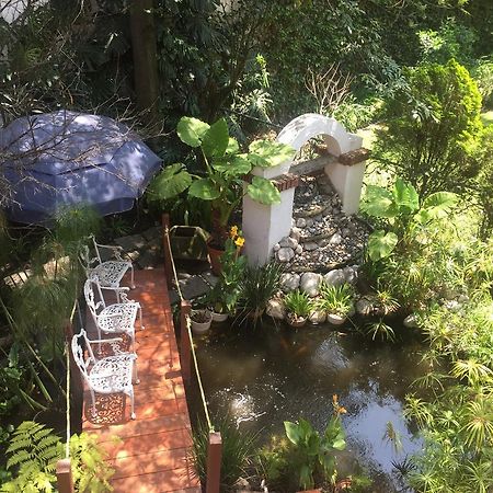 Villas Sol Y Luna Coyoacan مدينة مكسيكو المظهر الخارجي الصورة