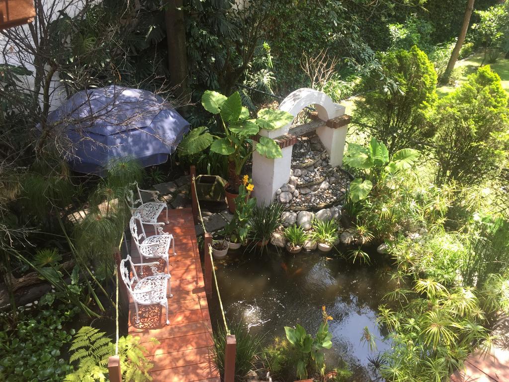 Villas Sol Y Luna Coyoacan مدينة مكسيكو المظهر الخارجي الصورة